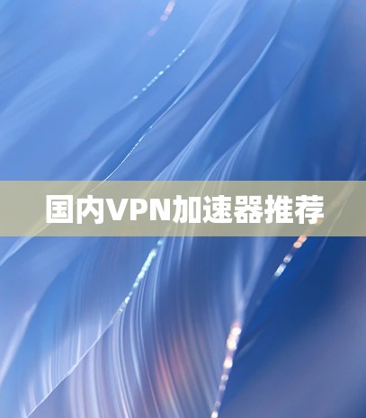国内VPN加速器推荐