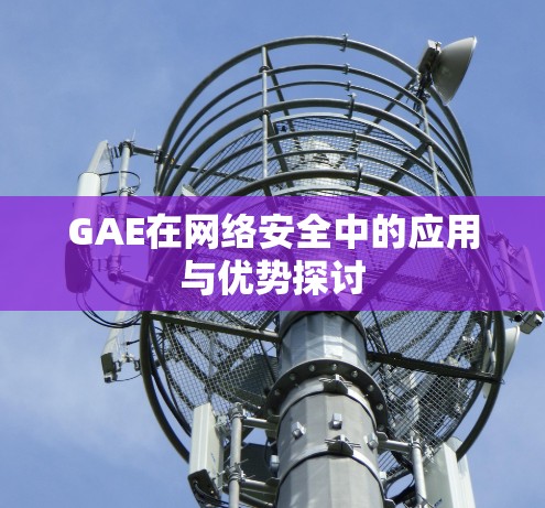 GAE在网络安全中的应用与优势探讨