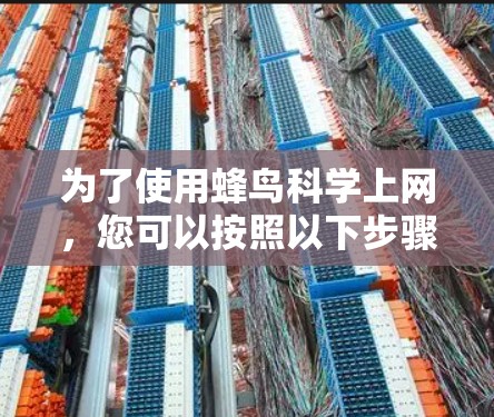 为了使用蜂鸟科学上网，您可以按照以下步骤进行