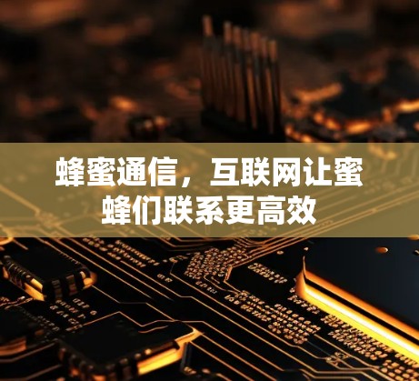 蜂蜜通信，互联网让蜜蜂们联系更高效