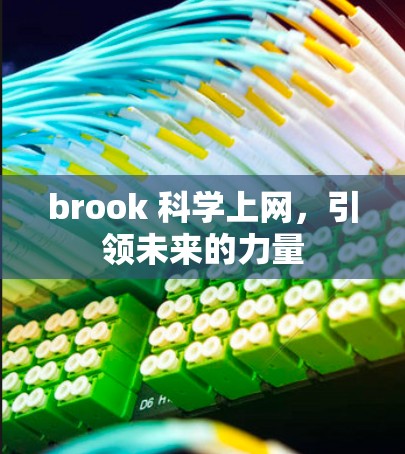 brook 科学上网，引领未来的力量