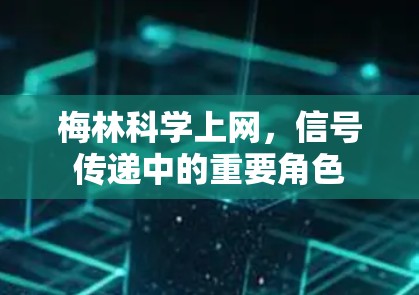 梅林科学上网，信号传递中的重要角色