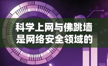 科学上网与佛跳墙是网络安全领域的专业术语，以下是其详细解释
