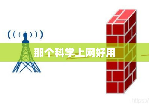 那个科学上网好用