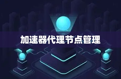 加速器代理节点管理