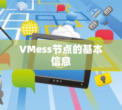 VMess节点的基本信息