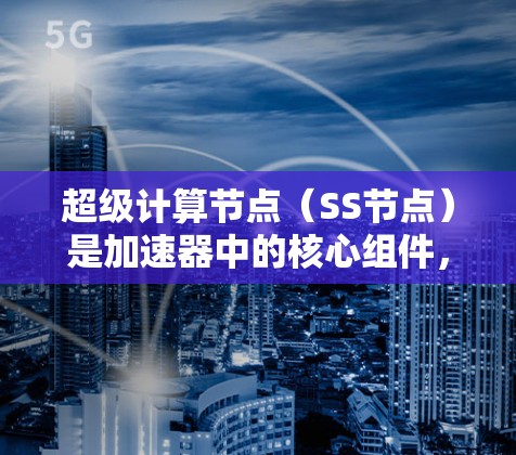 超级计算节点（SS节点）是加速器中的核心组件，用于提高特定任务的计算效率。以下是SS节点的详细分析和总结
