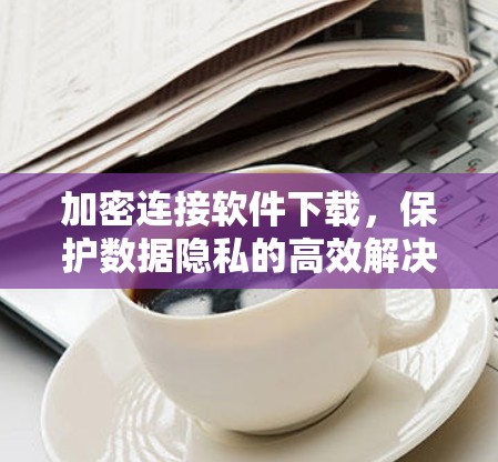 加密连接软件下载，保护数据隐私的高效解决方案