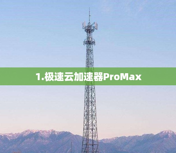 1.极速云加速器ProMax