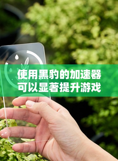 使用黑豹的加速器可以显著提升游戏性能，以下是详细的步骤指南