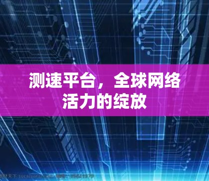 测速平台，全球网络活力的绽放