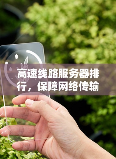高速线路服务器排行，保障网络传输安全的关键