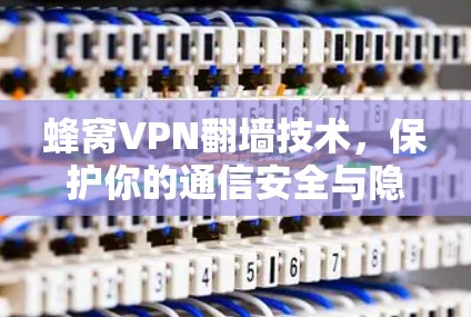 蜂窝VPN翻墙技术,保护你的通信安全与隐私 蜂窝VPN翻墙技术,保护你的通信安全与隐私
