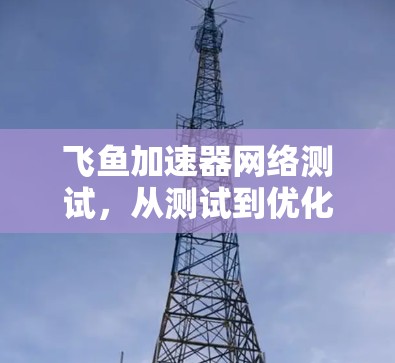 飞鱼加速器网络测试，从测试到优化