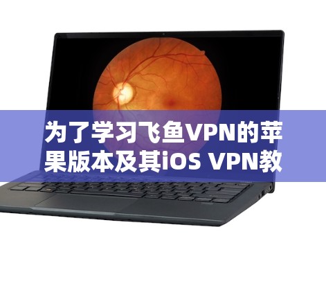为了学习飞鱼VPN的苹果版本及其iOS VPN教程，可以按照以下步骤进行