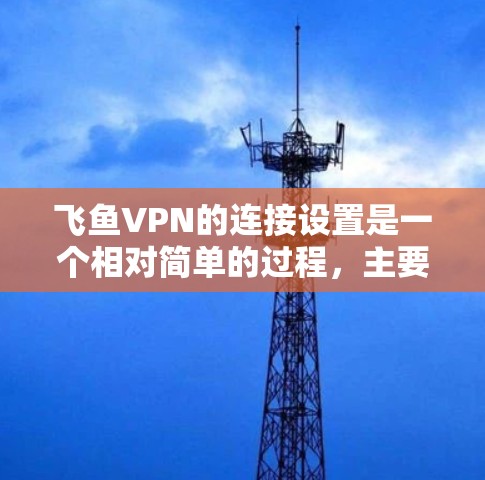 飞鱼VPN的连接设置是一个相对简单的过程，主要涉及密码、IP地址和连接方式的选择。以下是一步步的指南