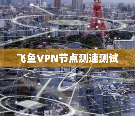飞鱼VPN节点测速测试