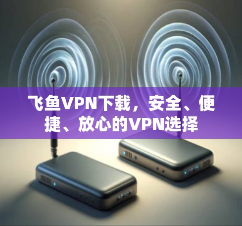 飞鱼VPN下载，安全、便捷、放心的VPN选择