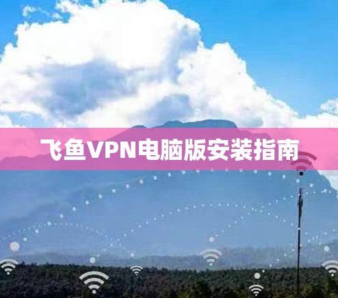 飞鱼VPN电脑版安装指南
