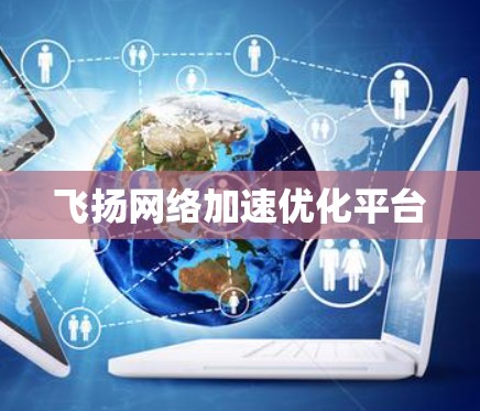 飞扬网络加速优化平台