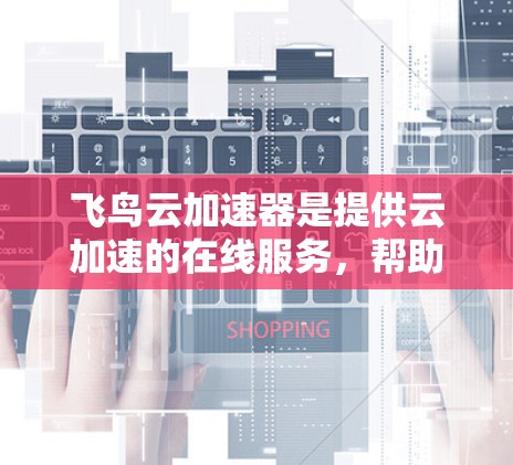 飞鸟云加速器是提供云加速的在线服务，帮助用户在外部网站上访问云资源时利用加速功能提升性能。以下是对飞鸟云加速器的详细分析