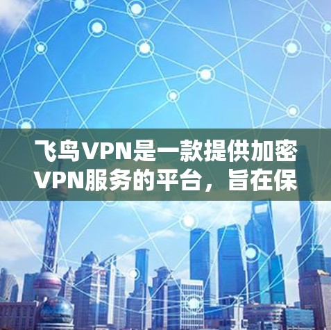 飞鸟VPN是一款提供加密VPN服务的平台，旨在保护用户的数据和安全。以下是对飞鸟VPN的详细分析和使用指南