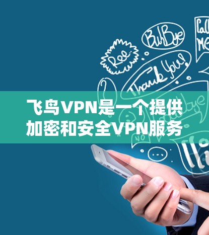 飞鸟VPN是一个提供加密和安全VPN服务的平台，以其速度和功能受到广泛认可。以下是对飞鸟VPN的详细总结