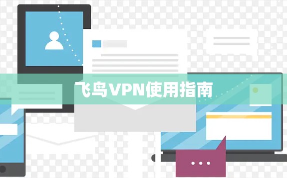 飞鸟VPN使用指南
