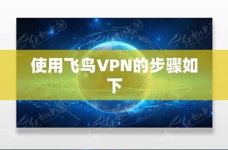 使用飞鸟VPN的步骤如下