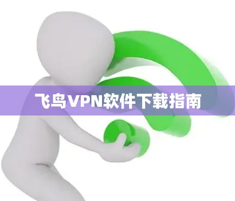 飞鸟VPN软件下载指南