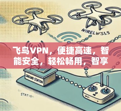 飞鸟VPN，便捷高速，智能安全，轻松畅用，智享人生