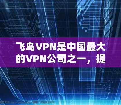 飞鸟VPN是中国最大的VPN公司之一，提供多种VPN服务，包括PC版和Mac版。以下是关于飞鸟VPN官网的Mac版的详细介绍
