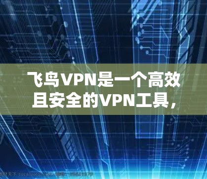 飞鸟VPN是一个高效且安全的VPN工具，提供多种功能以满足不同用户的需求。以下是对其功能体验的详细分析