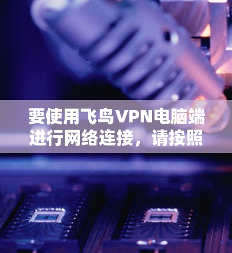 要使用飞鸟VPN电脑端进行网络连接，请按照以下步骤操作