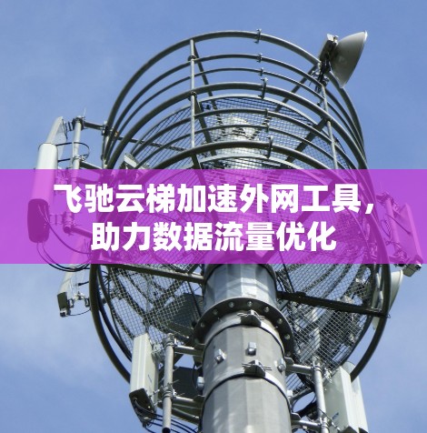 飞驰云梯加速外网工具,助力数据流量优化 飞驰云梯加速外网工具,助力数据流量优化
