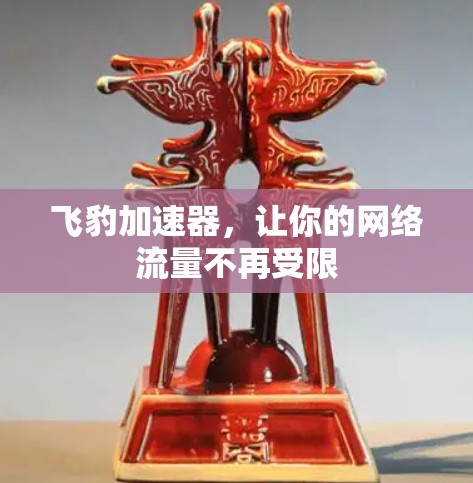 飞豹加速器，让你的网络流量不再受限