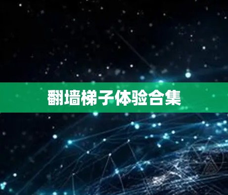 翻墙梯子体验合集