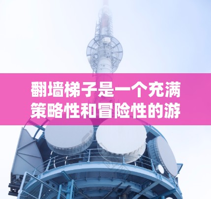 翻墙梯子是一个充满策略性和冒险性的游戏，玩家需要在墙的两侧使用梯子或机关绕过墙。以下是对这个游戏的详细分析和体验