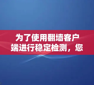 为了使用翻墙客户端进行稳定检测，您可以按照以下步骤操作