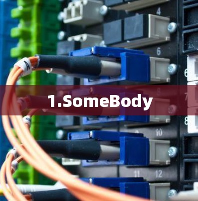 1.SomeBody