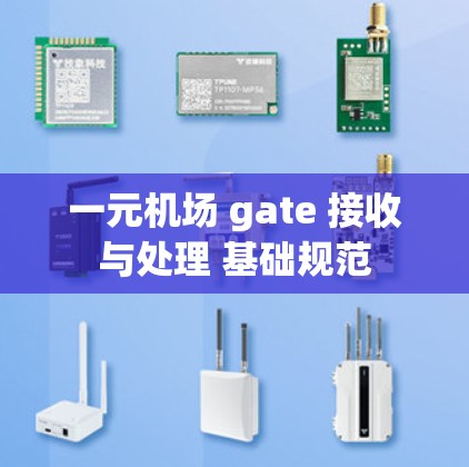 一元机场 gate 接收与处理 基础规范