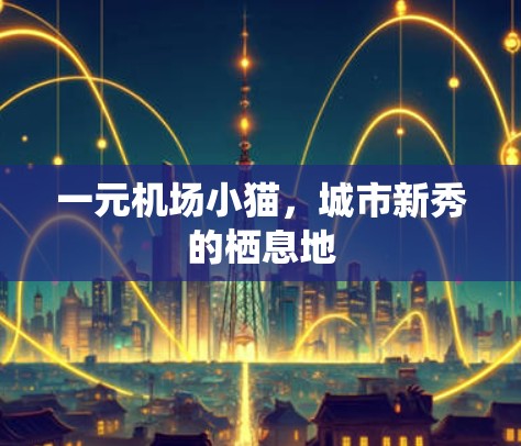 一元机场小猫，城市新秀的栖息地
