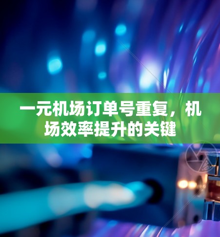 一元机场订单号重复,机场效率提升的关键 一元机场订单号重复,机场效率提升的关键
