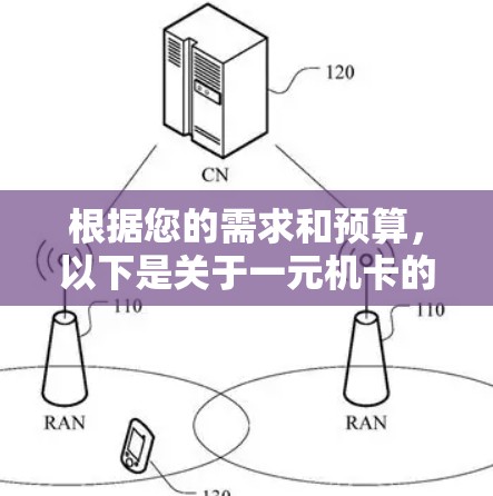根据您的需求和预算，以下是关于一元机卡的详细建议