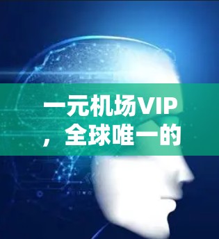 一元机场VIP,全球唯一的地方,让每位乘客价值一元 一元机场VIP,全球唯一的地方,让每位乘客价值一元