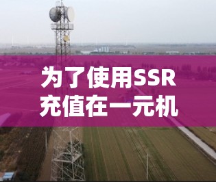 为了使用SSR充值在一元机场进行充值，您可以按照以下步骤进行操作
